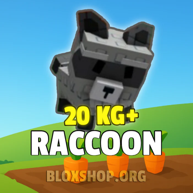 Giant Raccoon