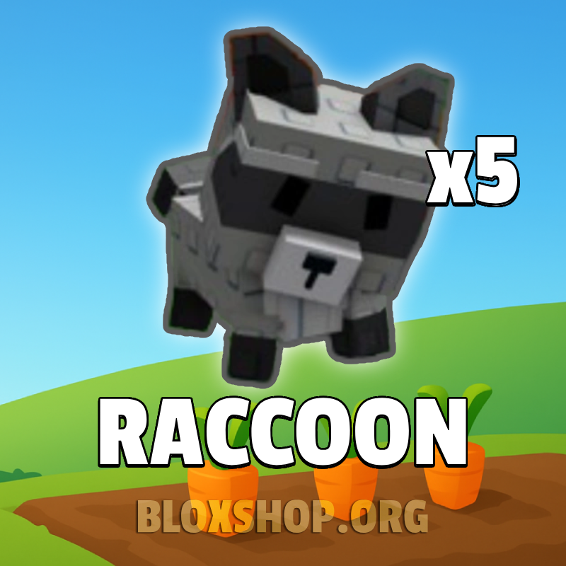 Raccoon Pack