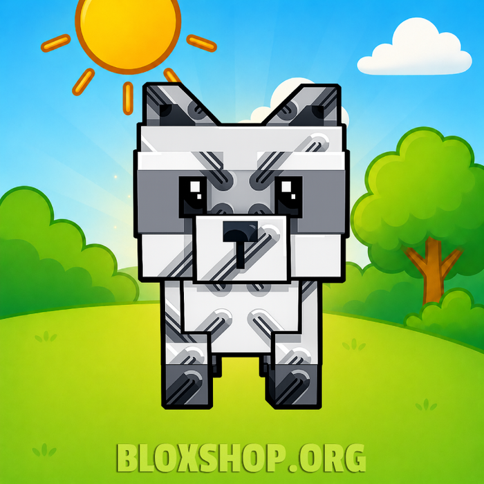 Raccoon