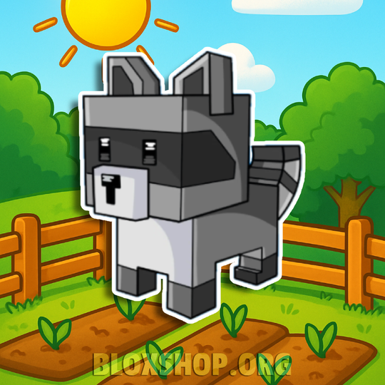 Raccoon