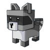 Raccoon